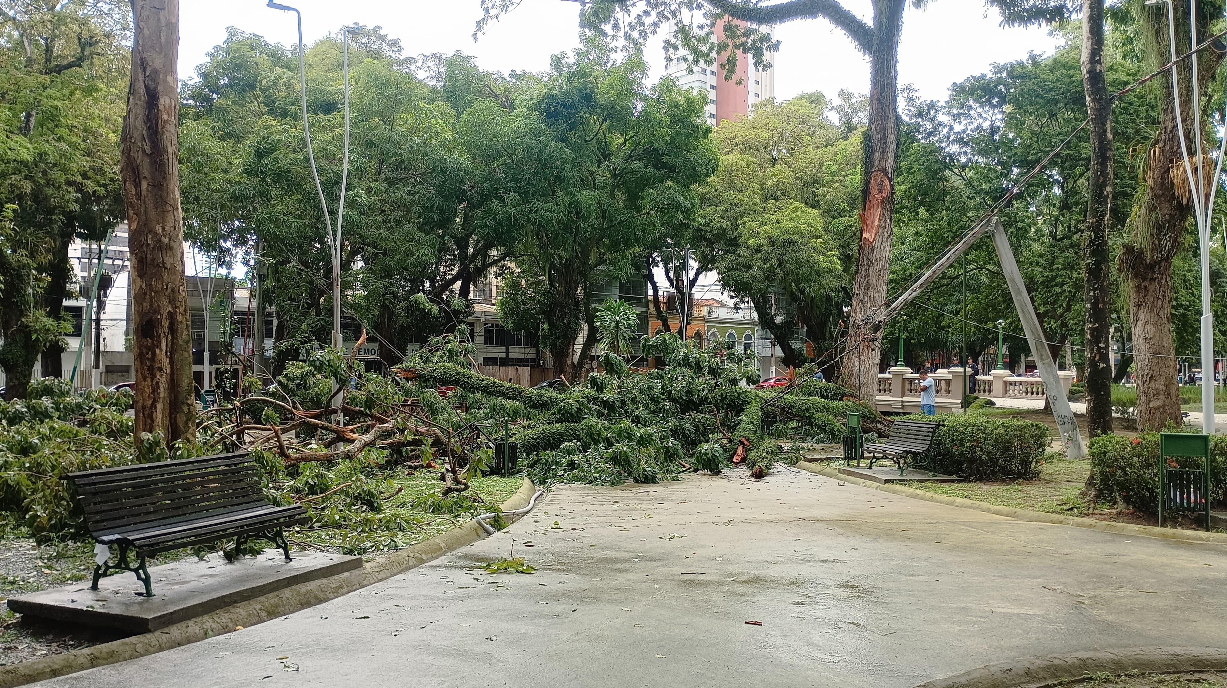 Imagem - Galho de árvore cai e derruba poste na Praça Batista Campos, em Belém